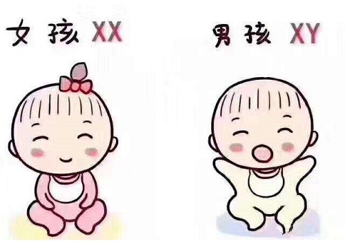 試管嬰兒生多少錢(qián)