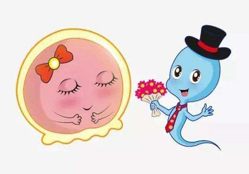 做試管大概是多少錢(qián)