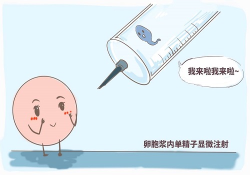 做第三代試管要準備多少錢啊