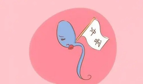 做個試管嬰兒費用大概要多少錢?