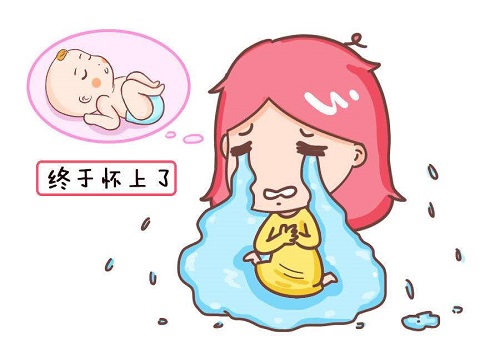第二代試管嬰兒的費用明細
