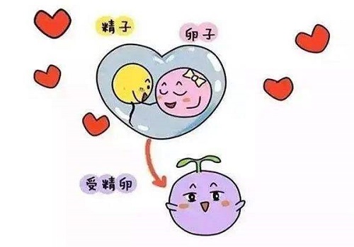 試管嬰兒費用一般多少錢啊?